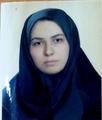 مترجم رزگل حاجی رسولیها مترجم رزگل حاجی رسولیها